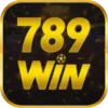 789Win46 com – Nạp tiền lần 1 tặng thưởng miễn phí 158%